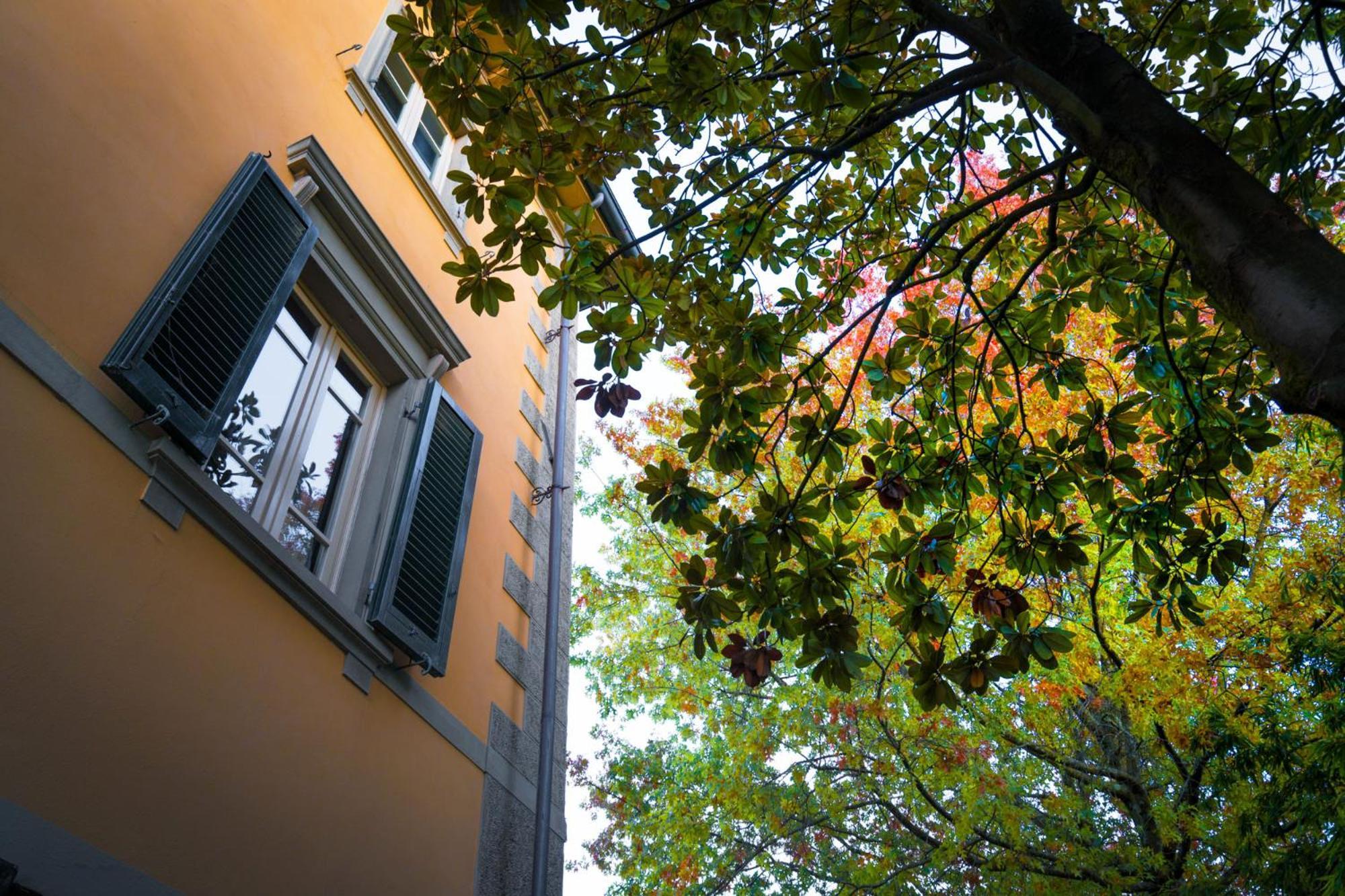 Villa Ines Charme Near Lucca Altopascio Exteriér fotografie
